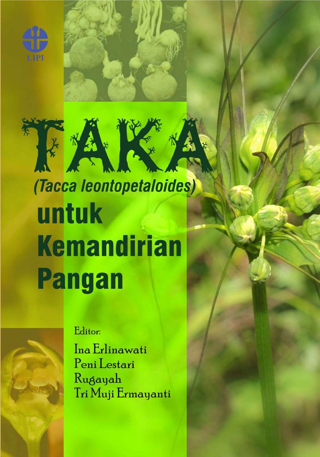 (Tacca Leontopetaloides) Untuk Kemandirian Pangan