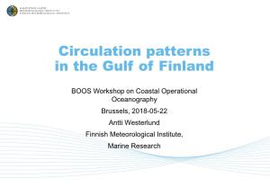 Circulation Dynamics in the Gulf of Finland