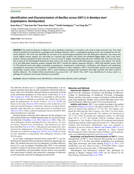 Identification and Characterization of Bacillus Cereus