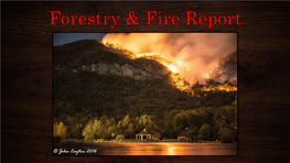 Ag Fire Report .Pdf