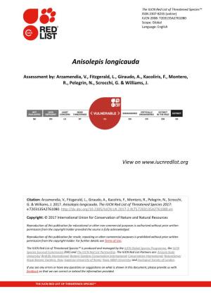 Anisolepis Longicauda