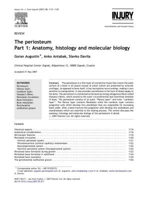 The Periosteum Part 1: Anatomy, Histology and Molecular Biology