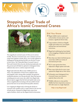 Stopping Illegal Trade of Africa's Iconic Crowned Cranes