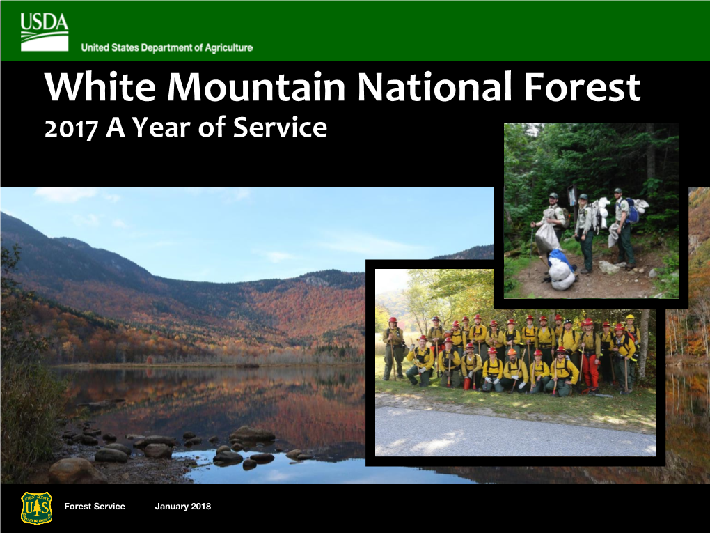 White Mountain National Forest 2017 a Year of Service