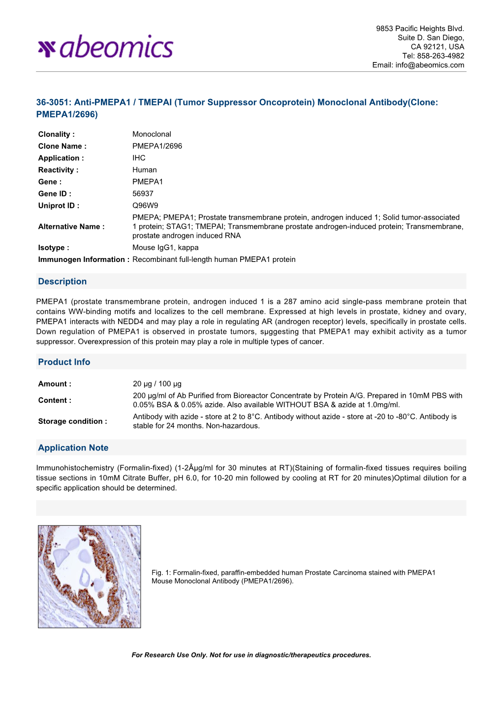 Anti-PMEPA1 / TMEPAI (Tumor Suppressor Oncoprotein) Monoclonal Antibody(Clone: PMEPA1/2696)