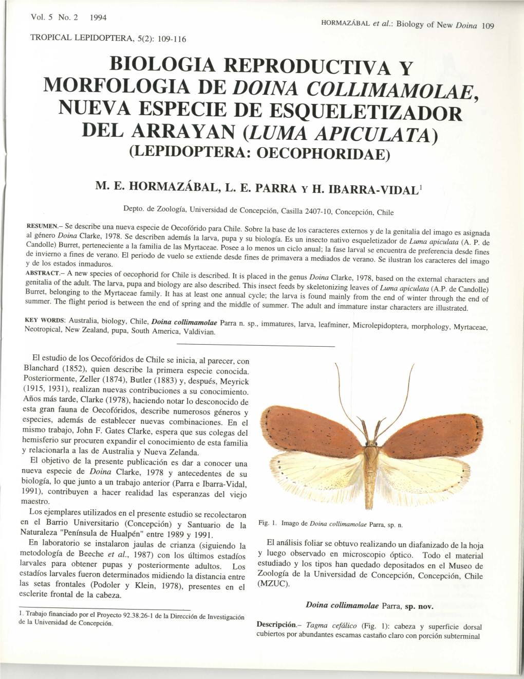 Biologia Reproductiva Y Morfologia De Doina Collimamolae, Nueva Especie De Esqueletizador Del Arrayan (Luma Apiculata) (Lepidoptera: Oecophoridae)