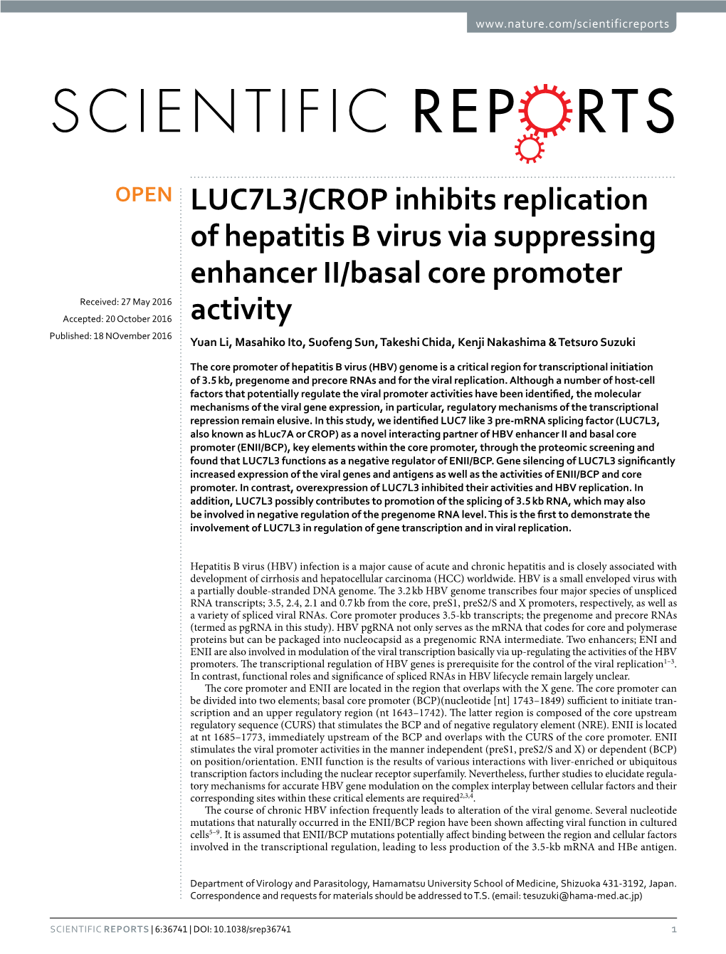 LUC7L3/CROP Inhibits Replication of Hepatitis B Virus Via Suppressing Enhancer II/Basal Core Promoter Activity