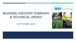 Biodiesel Industry and Technical Overview