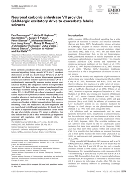 Neuronal Carbonic Anhydrase VII Provides Gabaergic Excitatory Drive to Exacerbate Febrile Seizures