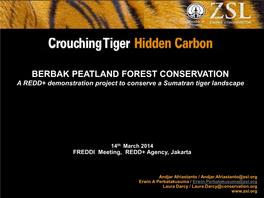 BERBAK PEATLAND FOREST CONSERVATION a REDD+ Demonstration Project to Conserve a Sumatran Tiger Landscape