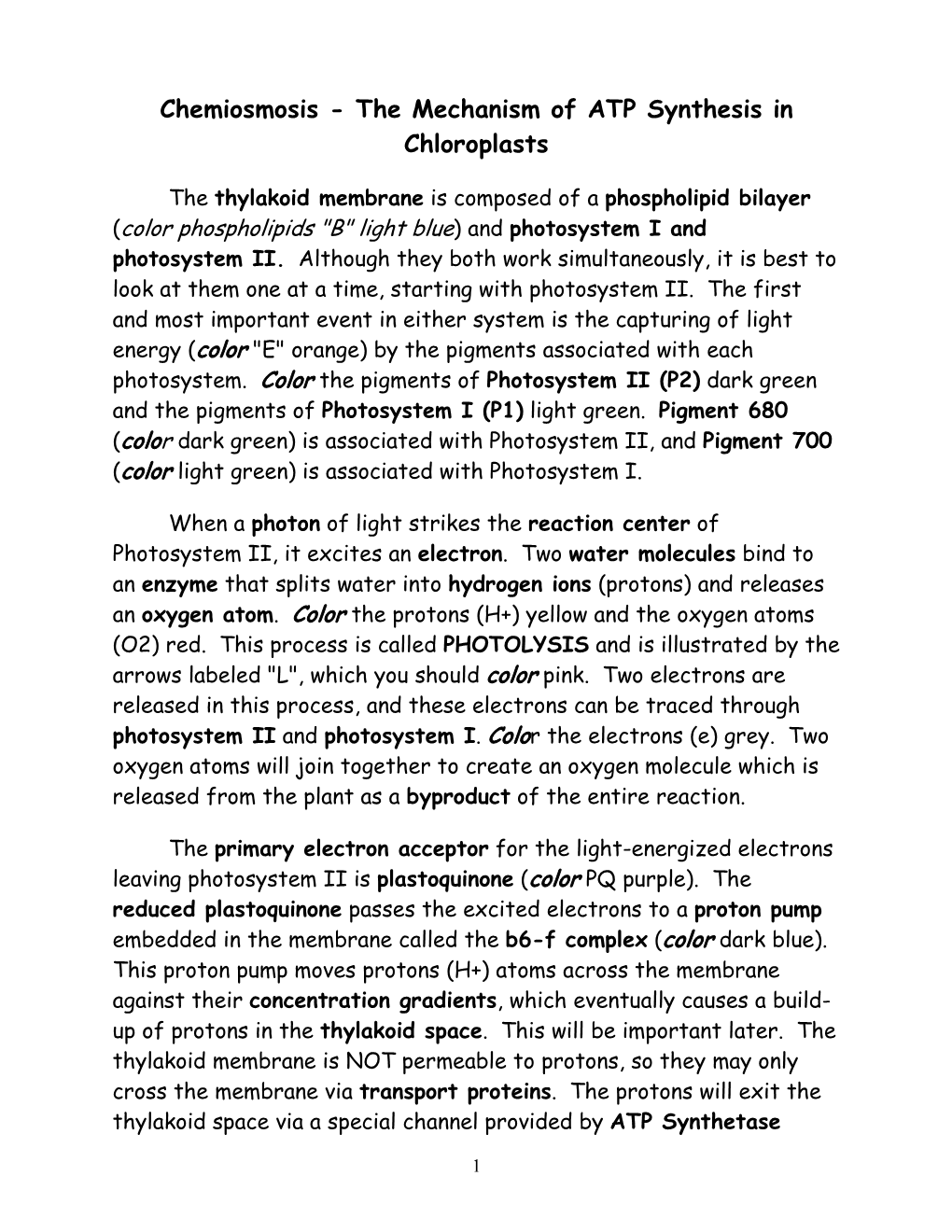 Chemiosmosis - the Mechanism of ATP Synthesis in Chloroplasts