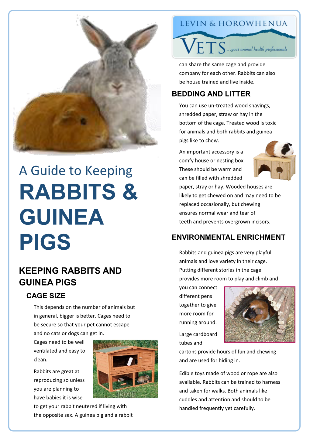 Rabbits & Guinea Pigs