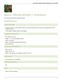 Viburnum Plicatum F. Tomentosum