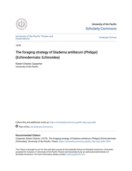 The Foraging Strategy of Diadema Antillarum (Philippi) (Echinodermata: Echinoidea)