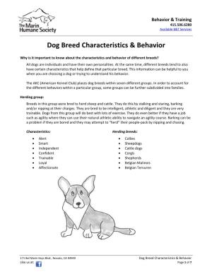 Dog Breed Characteristics & Behavior