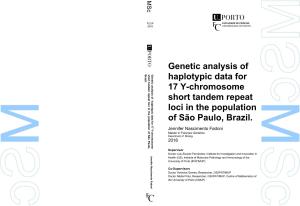 Genetic Analysis of Haplotypic Data for 17 Y-Chromosome Short Tandem Repeat Loci in the Population of São Paulo, Brazil