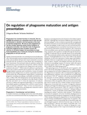 On Regulation of Phagosome Maturation and Antigen Presentation