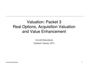 Packet 3 Real Options, Acquisition Valuation and Value Enhancement