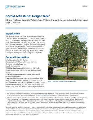 Cordia Sebestena: Geiger Tree1 Edward F