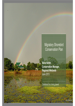 3.3.2-2 Migratory Shorebird Conservation Plan