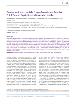 Domestication of Lambda Phage Genes Into a Putative Third Type of Replicative Helicase Matchmaker