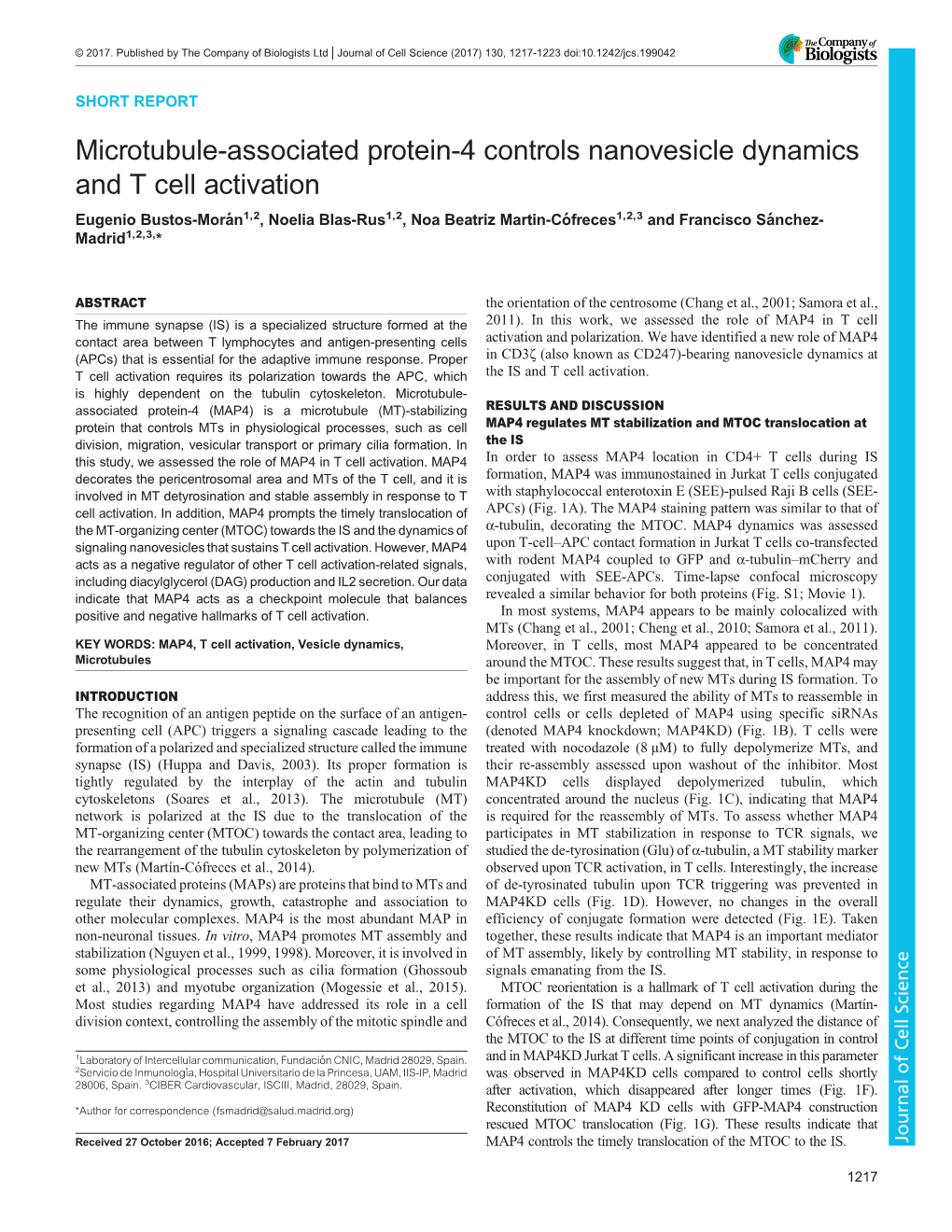 Microtubule-Associated Protein-4 Controls Nanovesicle Dynamics And