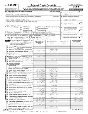 2017 IRS FORM 990-PF.Pdf