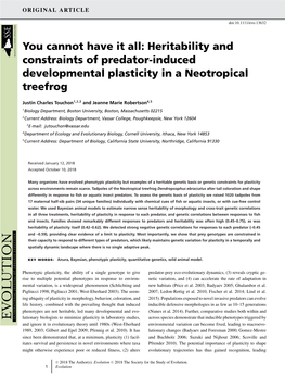You Cannot Have It All: Heritability and Constraints of Predator&#X02010