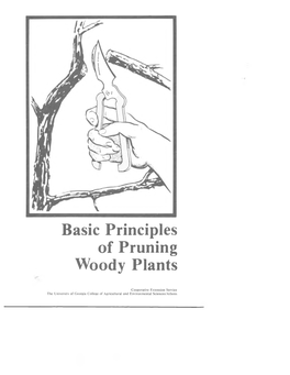 Basic Principles of Pruning Woody Plants