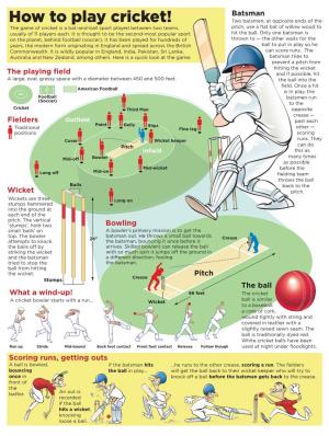 How to Play Cricket!