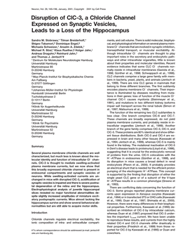 Disruption of Clc-3, a Chloride Channel Expressed on Synaptic Vesicles, Leads to a Loss of the Hippocampus