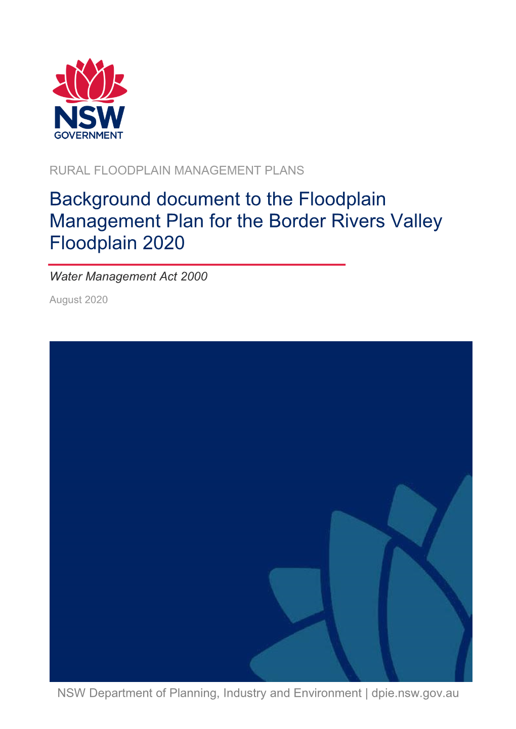 Background Document to the Floodplain Management Plan for the Border Rivers Valley Floodplain 2020