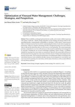 Optimization of Vineyard Water Management: Challenges, Strategies, and Perspectives