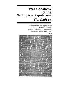 Wood Anatomy of the Neotropical Sapotaceae VIII