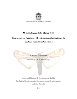 Hypsipyla Grandella (Zeller 1848) Cedrela Odorata En Colombia