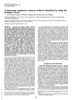 Pclasper Vector (Yeast Gap Repair/Homologous Recombination/Transgenic Analysis/Homeobox Genes/Cluster Regulation) M