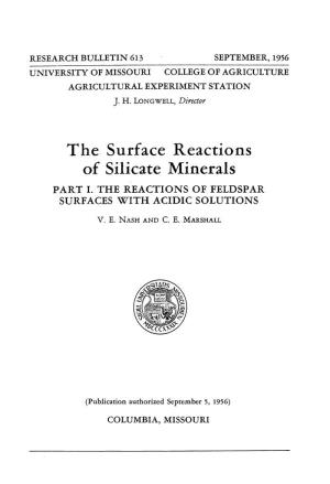 The Surface Reactions of Silicate Minerals PART I