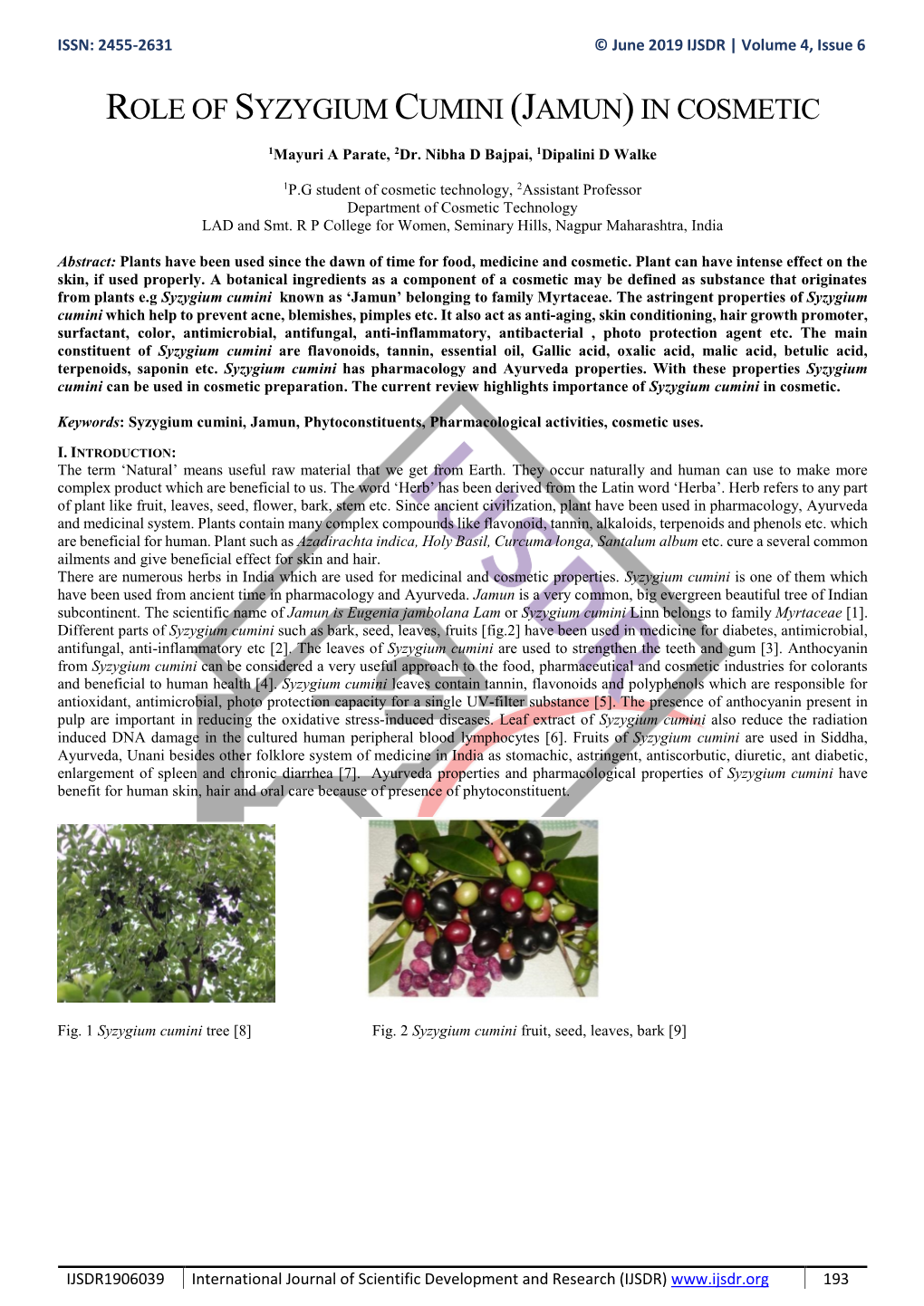 Role of Syzygium Cumini (Jamun)In Cosmetic