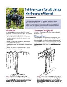 Training Systems for Cold Climate Hybrid Grapes in Wisconsin