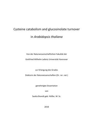Cysteine Catabolism and Glucosinolate Turnover in Arabidopsis Thaliana