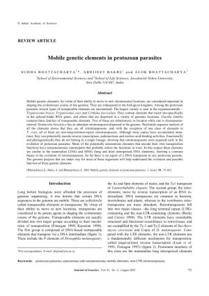 Mobile Genetic Elements in Protozoan Parasites
