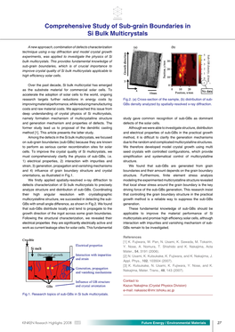 Comprehensive Study of Sub-Grain Boundaries in Si Bulk Multicrystals