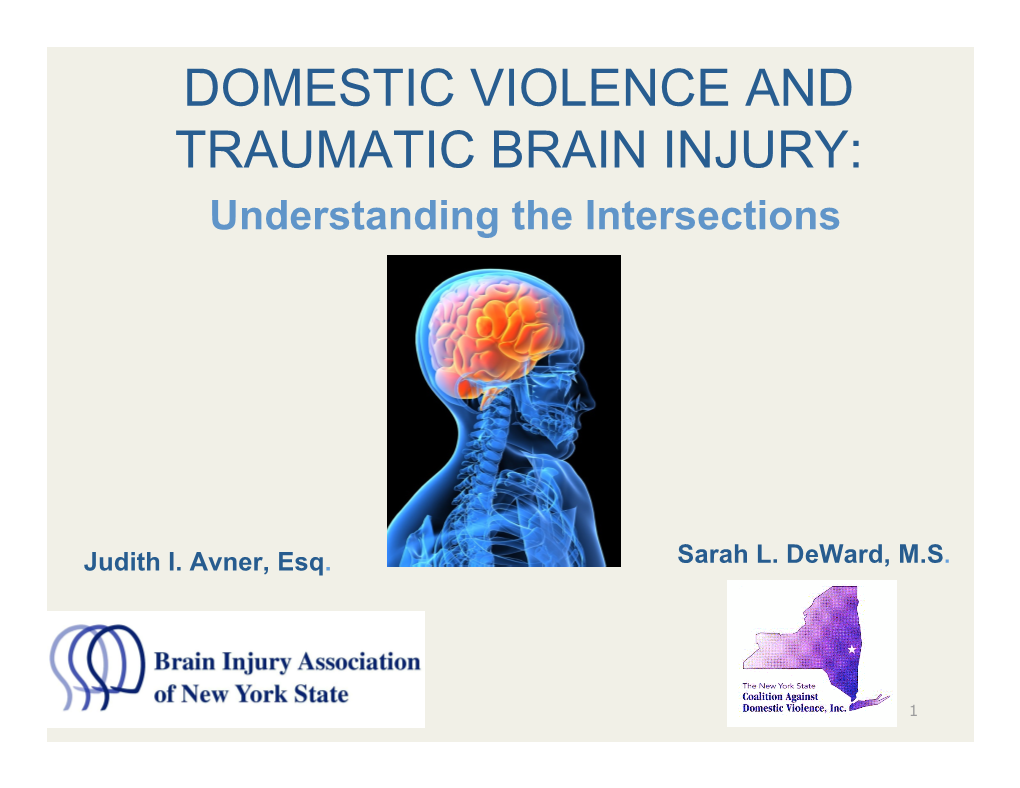 DOMESTIC VIOLENCE and TRAUMATIC BRAIN INJURY: Understanding the Intersections