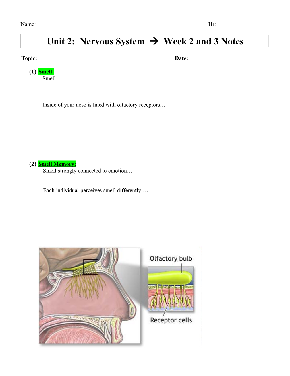 Unit 2: Nervous System À Week 2 and 3 Notes