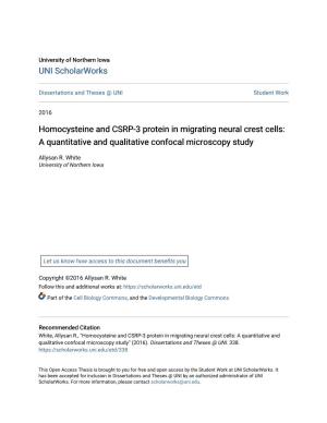 Homocysteine and CSRP-3 Protein in Migrating Neural Crest Cells: a Quantitative and Qualitative Confocal Microscopy Study