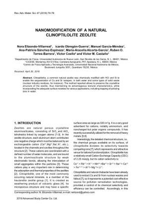 Nanomodification of a Natural Clinoptilolite Zeolite