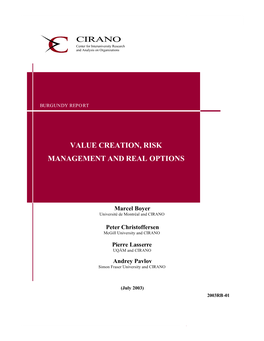 Value Creation, Risk Management and Real Options