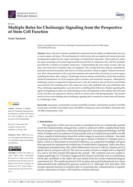 Multiple Roles for Cholinergic Signaling from the Perspective of Stem Cell Function