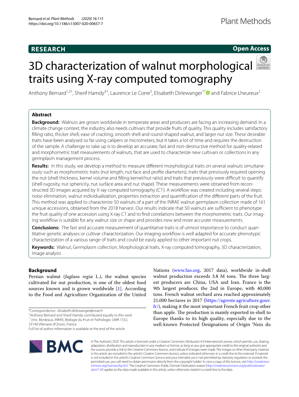 3D Characterization of Walnut Morphological Traits Using X-Ray