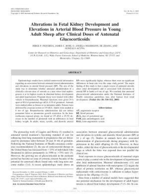 Alterations in Fetal Kidney Development and Elevations in Arterial Blood Pressure in Young Adult Sheep After Clinical Doses of Antenatal Glucocorticoids